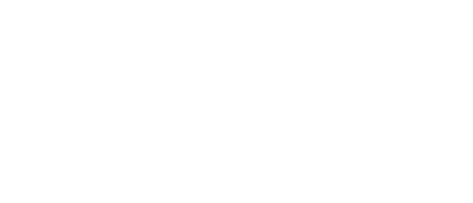 Syn X Energy Pty Ltd Light Logo